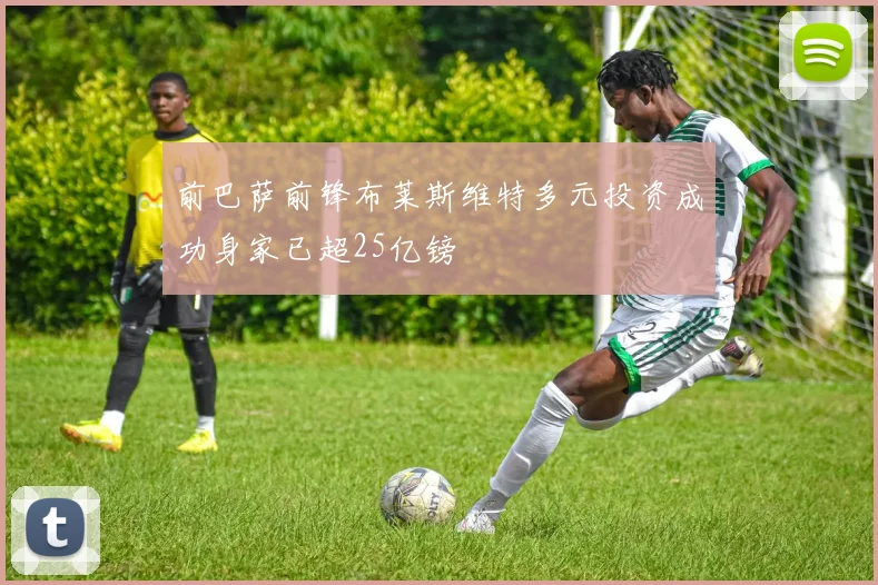 前巴萨前锋布莱斯维特多元投资成功身家已超25亿镑