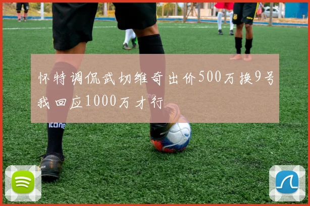 怀特调侃武切维奇出价500万换9号我回应1000万才行